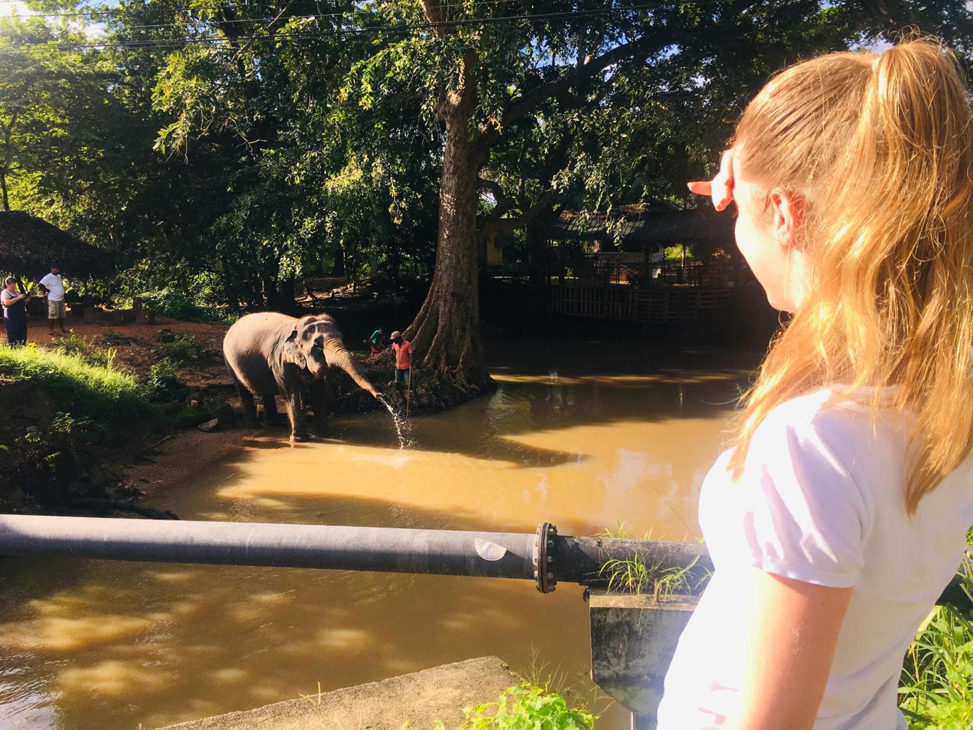 Hotel Sigiriya Kele Luaran gambar